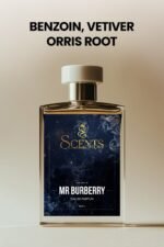Mr burberry
