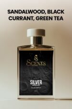 Silver Mountain