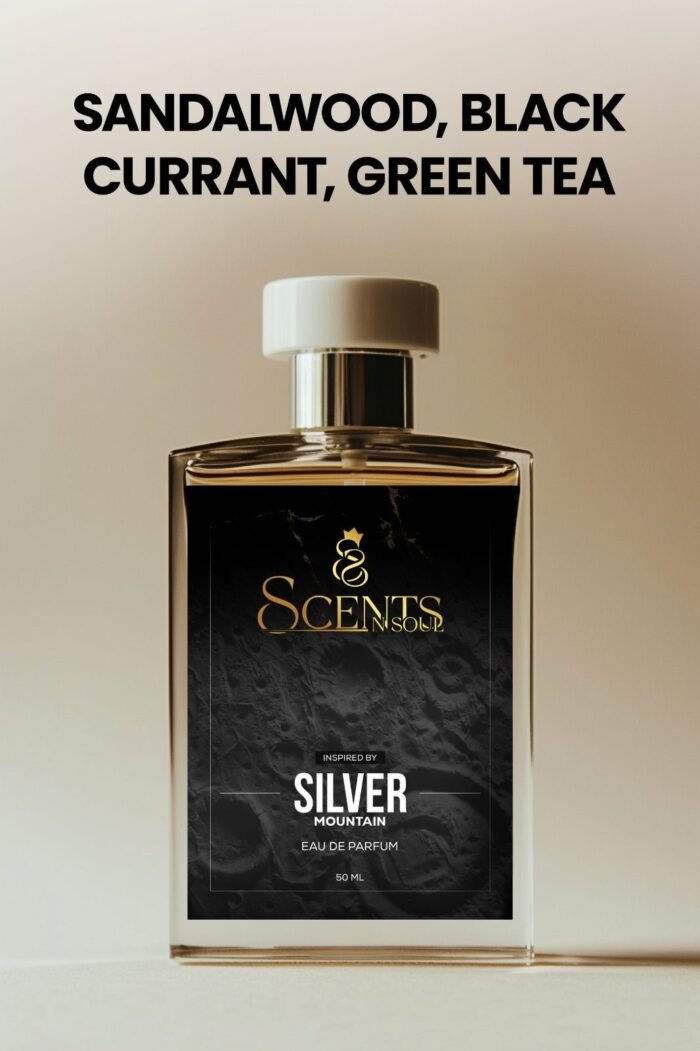 Silver Mountain - Image 1